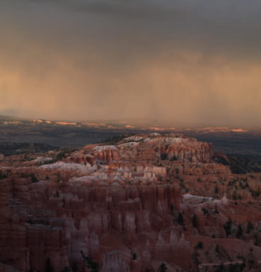 Growing in Confidence