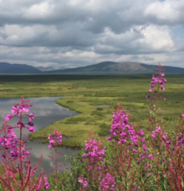 Worthy of our Worship