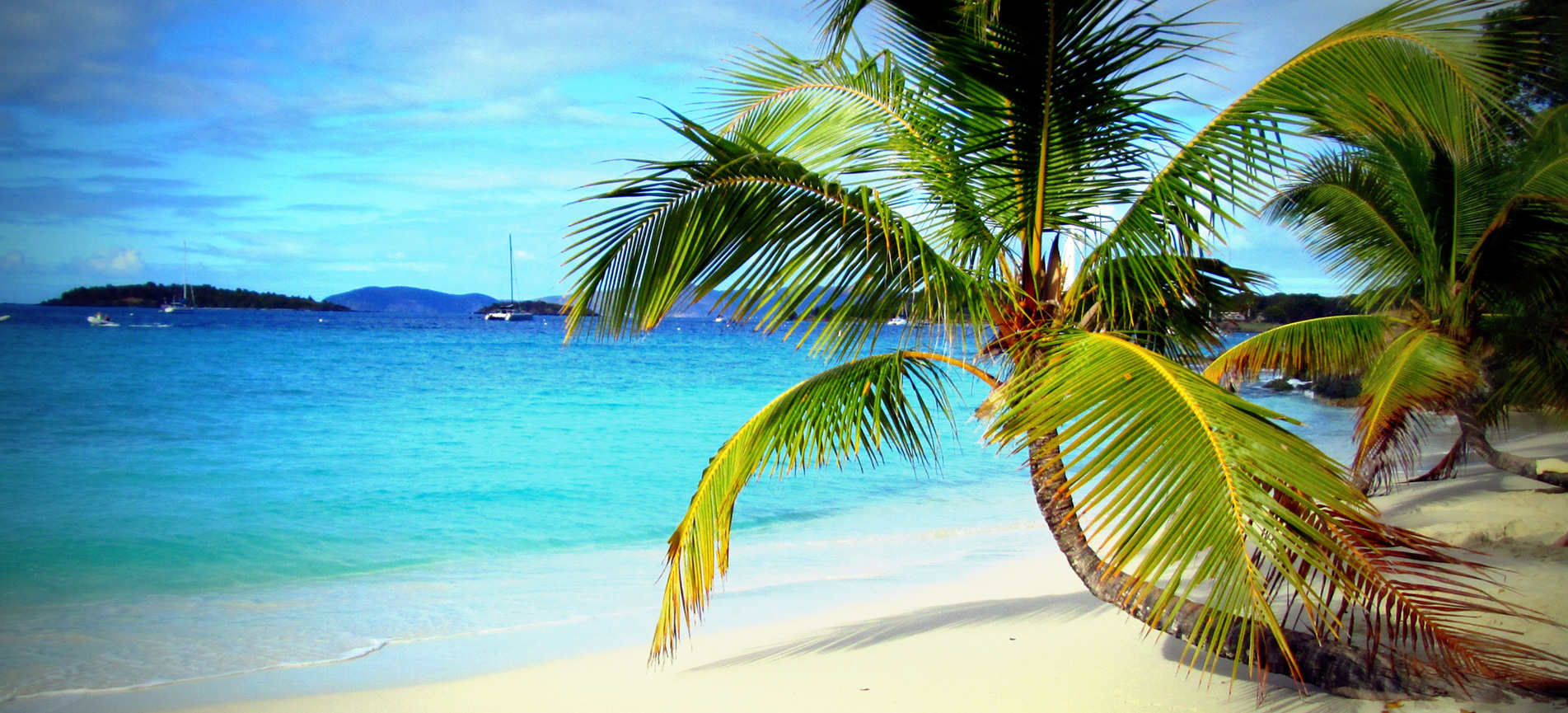 Tropics Tropics